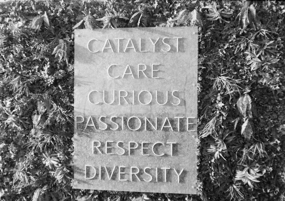Neon sign reading "Catalyst Care Curious Passionate Respect Diversity".