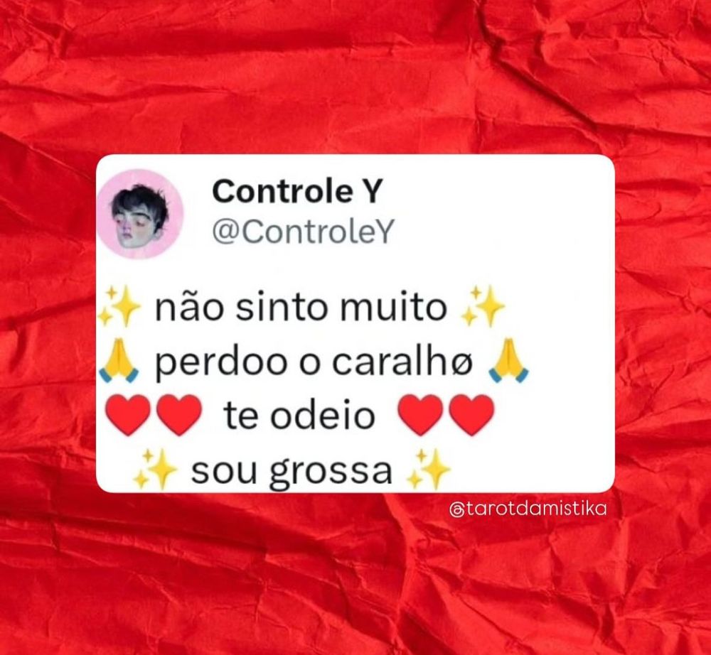 Fundo vermelho e um quadrado branco no meio onde se lê não sinto muito perdoo o caralho te odeio sou grossa