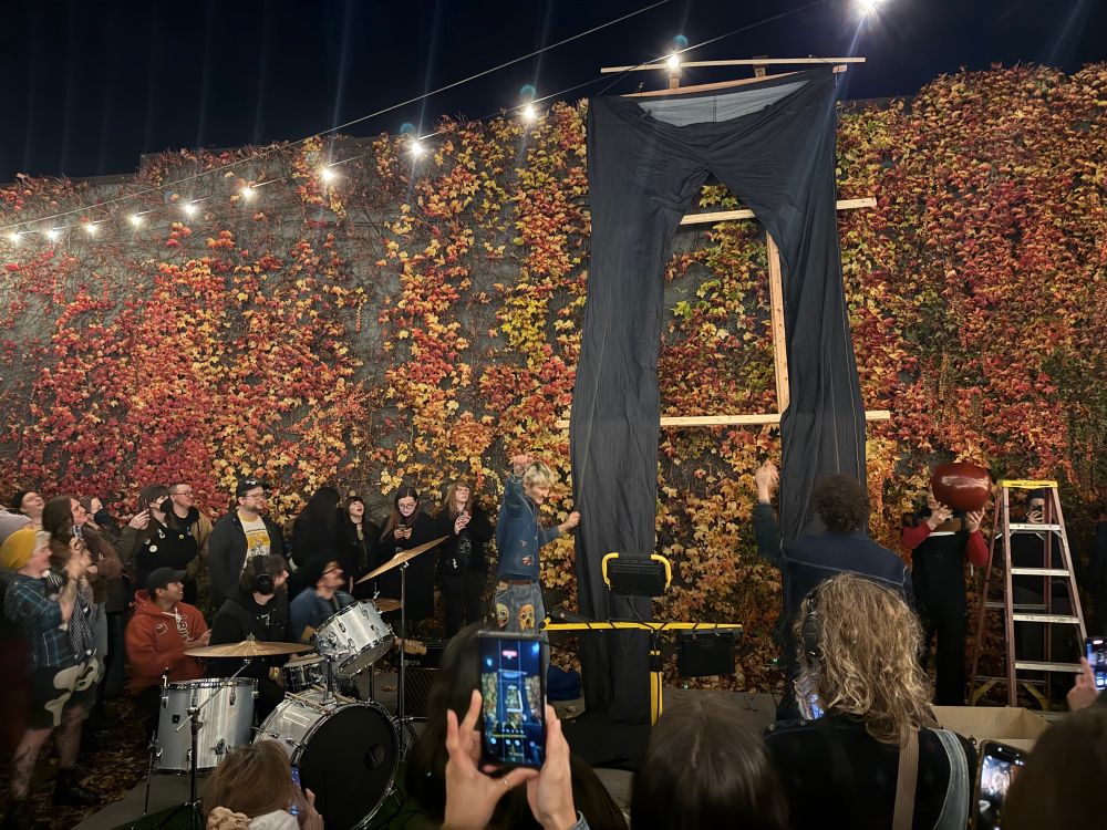 The largest pair of blue jeans. Suspended against an ivy covered wall 