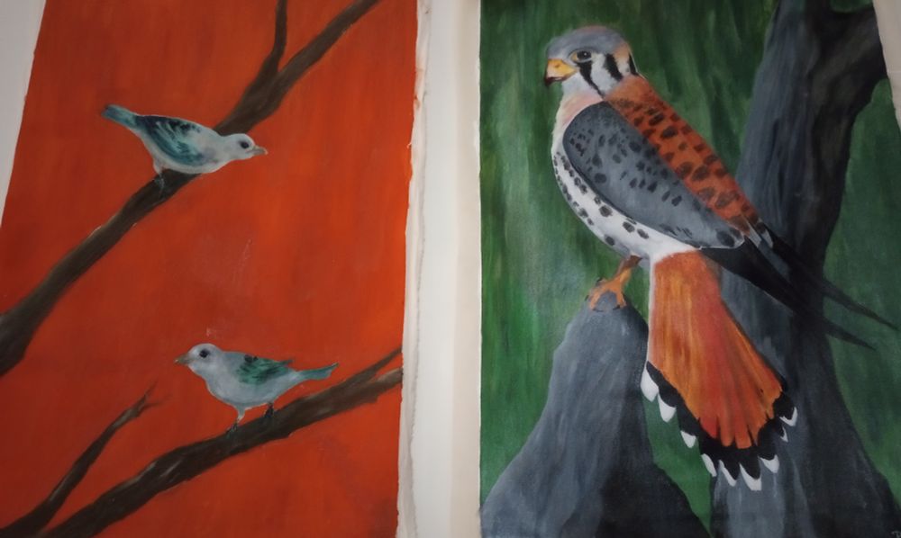 pintura tinta acrílica em tecido. duas telas: a primeira mostra dois sanhaços, cores cinza e azul, pousados em galhos, com um fundo vermelho vibrante. a segunda tela é o falcãozinho quiriquiri, em um fundo verde.