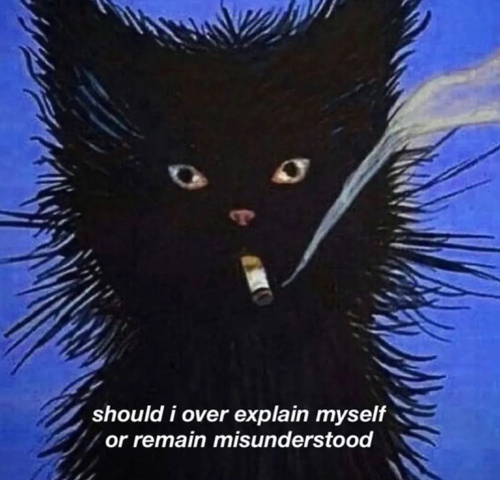 a cat smoking a cigarette. the text reads “should i over explain myself or remain misunderstood”