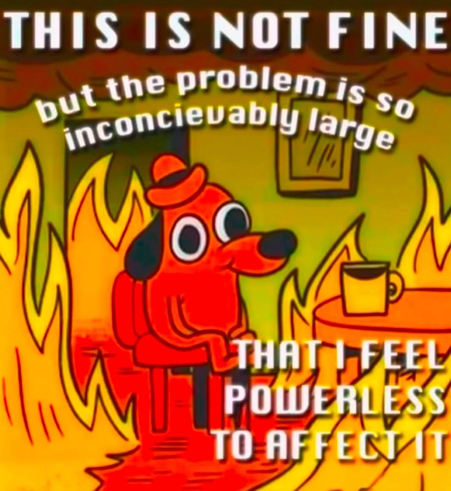 the “Everything is fine” meme. there’s a dog sitting with fire surrounding him. the text reads “THIS IS NOT FINE but the problem is so inconcievably large that I feel powerless to affect it”.