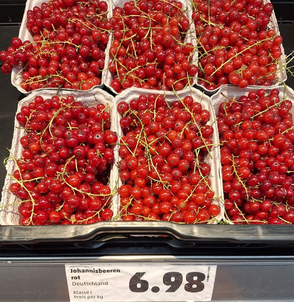 Johannisbeeren für 6,98,- Euro