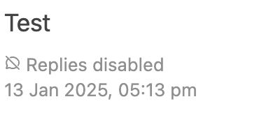 Screenshot with the word "Test," note about replies being disabled, and a timestamp of 13 Jan 2025, 05:13 pm.