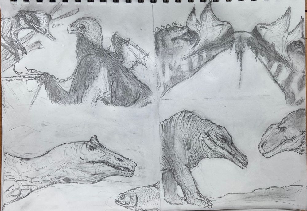 Four drawings, one of the bat-winged dinosaur yi qi resting on a branch with a sleeping pterosaur Kunpengopterus  sleeping in the background.  Two with ceratosaurus sharing a bloody kiss.   Three with irritator swimming. Four with past and present depictions of megalosaurus