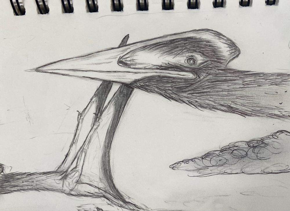 Pair of pterosaurs Zhenjiangopterus flying among the clouds