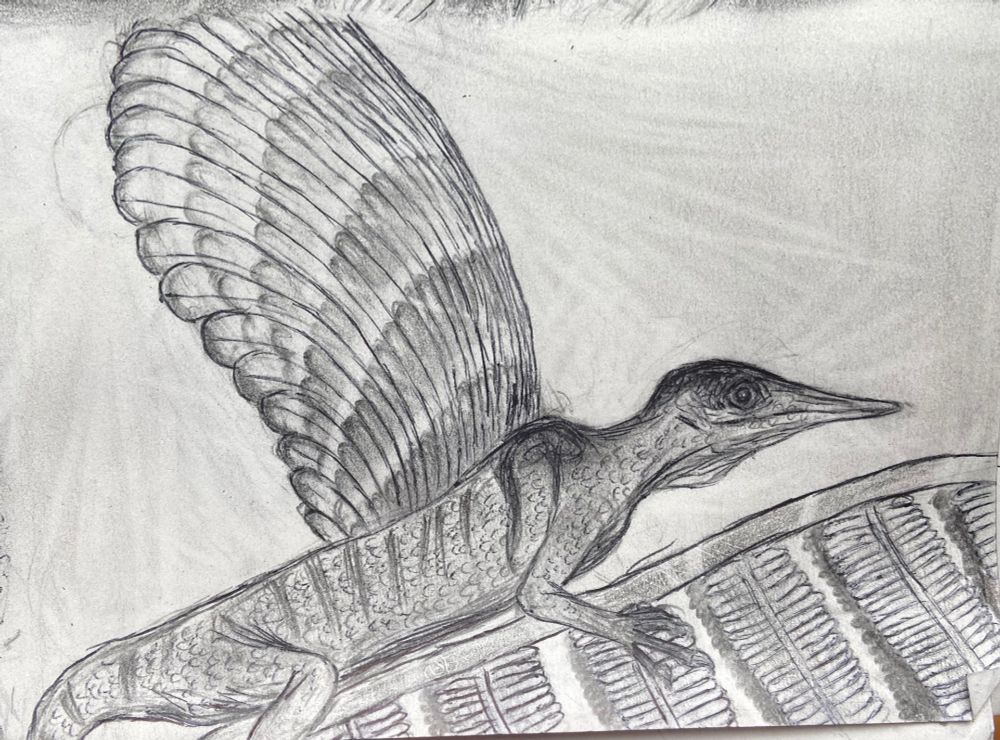A small reptile, Mirasaura , with a sail of feathers on its back basks in the sun resting on a fern. The sun shines through its sail. Mirasaura is a bizzare Triassic reptile called a drepanosaur and their “feathers” appeared millions of years before birds