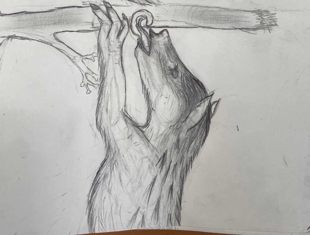 The arboreal hoofed mammal Diplobune grasping at a tree branch while licking its face with a long tongue