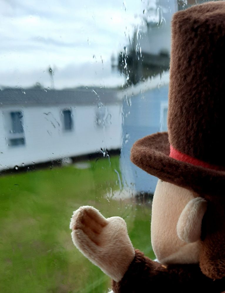 A sad Layton plush looks out of the window on a rainy day