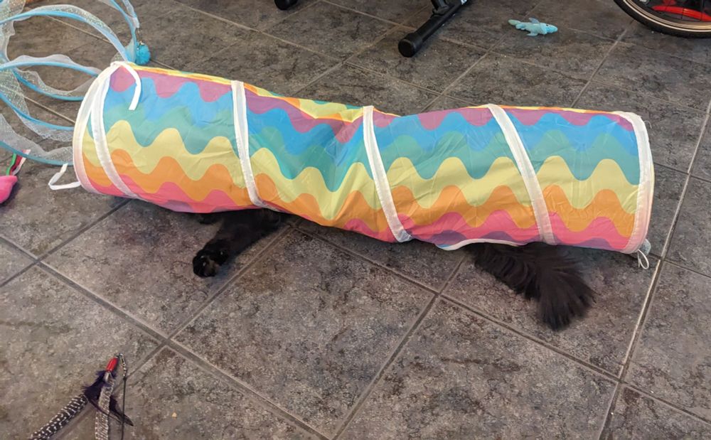 A floofy black cat appears squished underneath a rainbow-colored cat tunnel. A floofy tail and one front paw stick out from holes on the underside. He is poised to swipe at a feather toy nearby.
