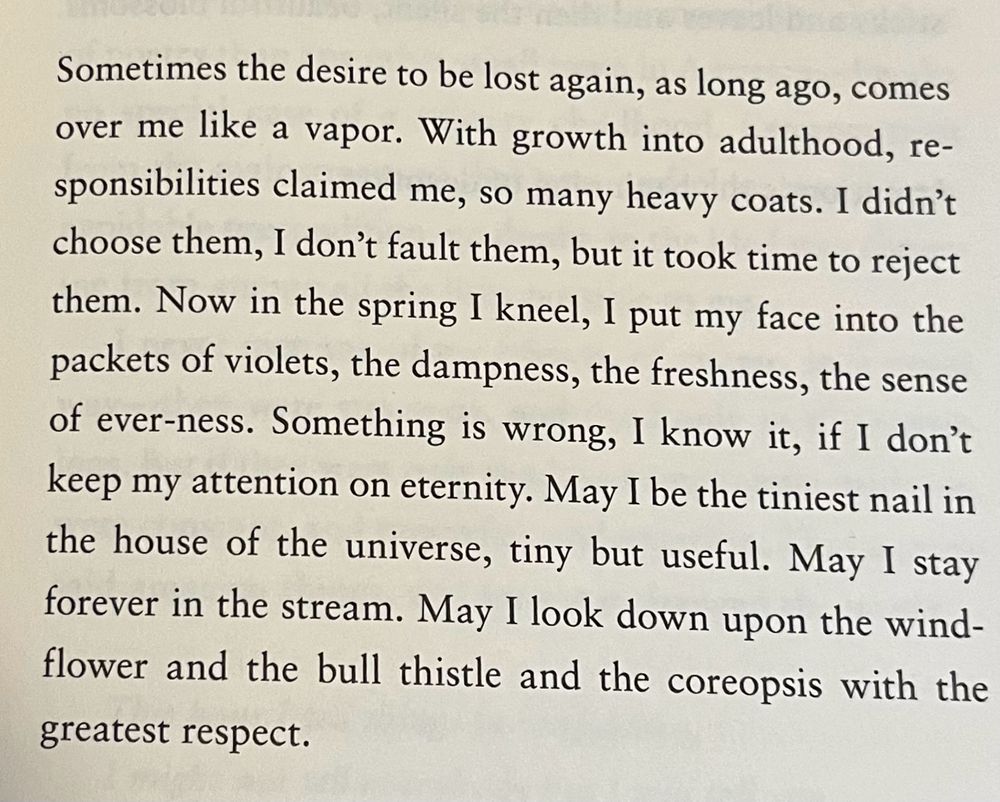 Sometimes the desire to be lost again, as long ago, comes over me like a vapor. With growth into adulthood, responsibilities claimed me, so many heavy coats. I didn't choose them, I don't fault them, but it took time to reject them. Now in the spring I kneel, I put my face into the packets of violets, the dampness, the freshness, the sense of ever-ness. Something is wrong, I know it, if I don't keep my attention on eternity. May I be the tiniest nail in the house of the universe, tiny but useful. May I stay forever in the stream. May I look down upon the windflower and the bull thistle and the coreopsis with the
greatest respect.