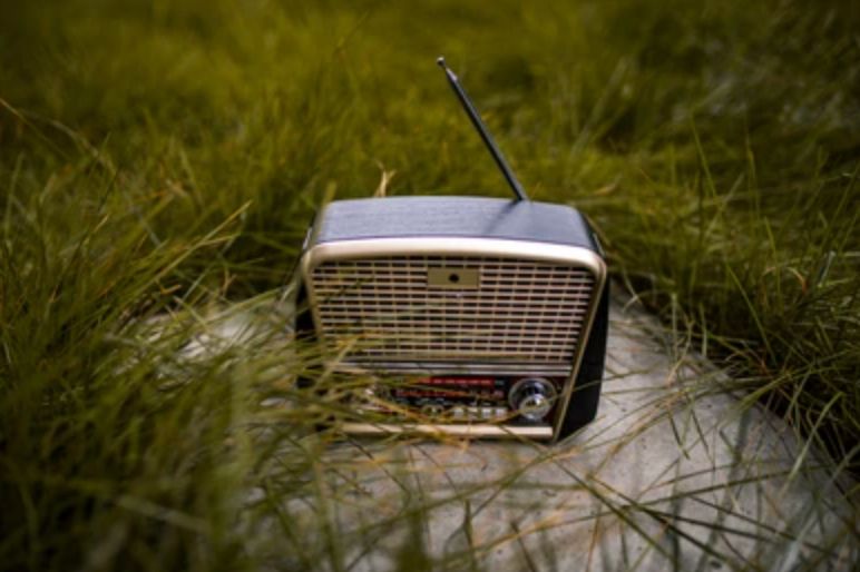 a radio in the grass