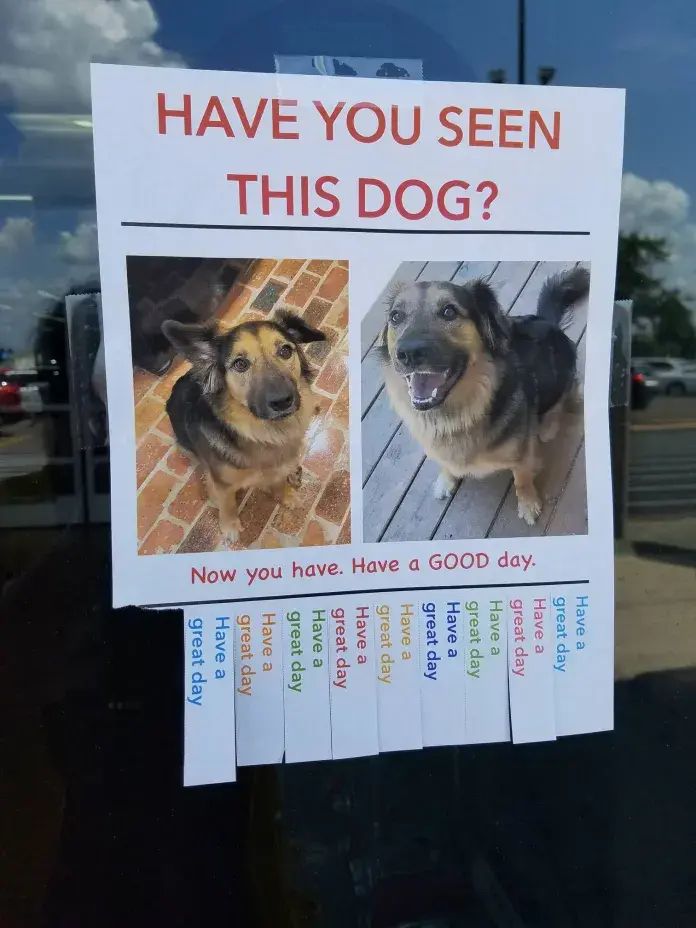 Flyer with two pictures of a smiling dog, reading “Have you seen this dog? Now you have. Have a GOOD day.” Bottom tabs say “Have a great day.”