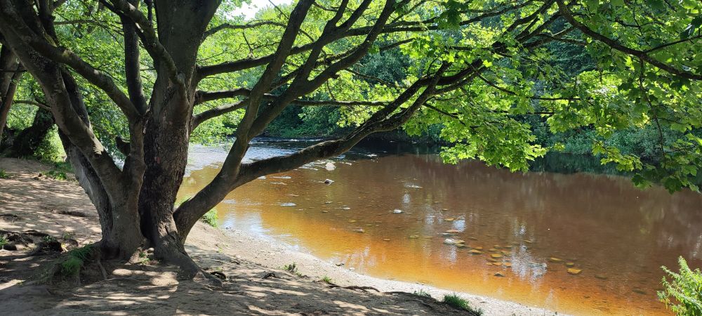 Down by the river
