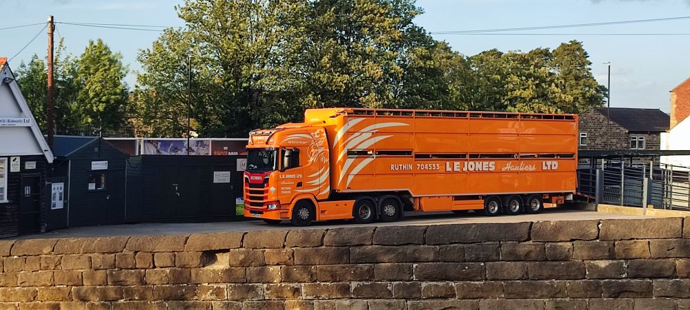 Big orange livestock truck at the cattle market 