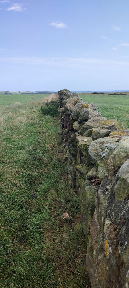 The wall
