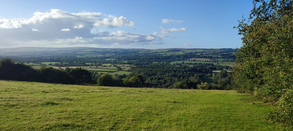 Green fields, blue skies