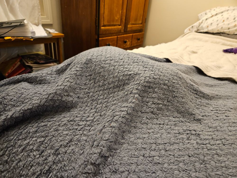 Suspicious cat-shaped lump under a blue blanket. 