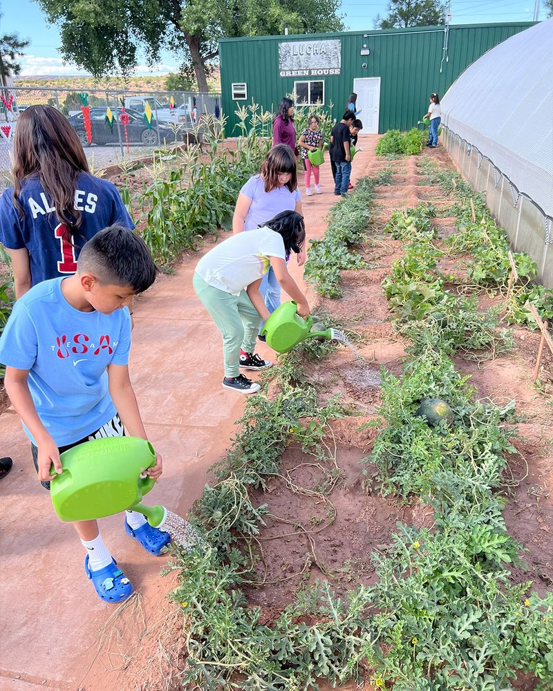 Picture of children working to water plants in a community garden.
