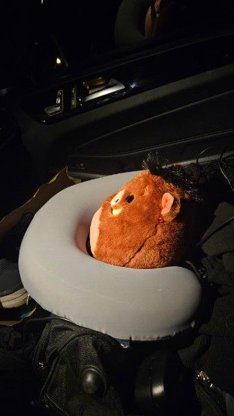 Road Dog, a stuffed Poomba, settles inside a neck pillow on the passenger seat for our first rest stop 