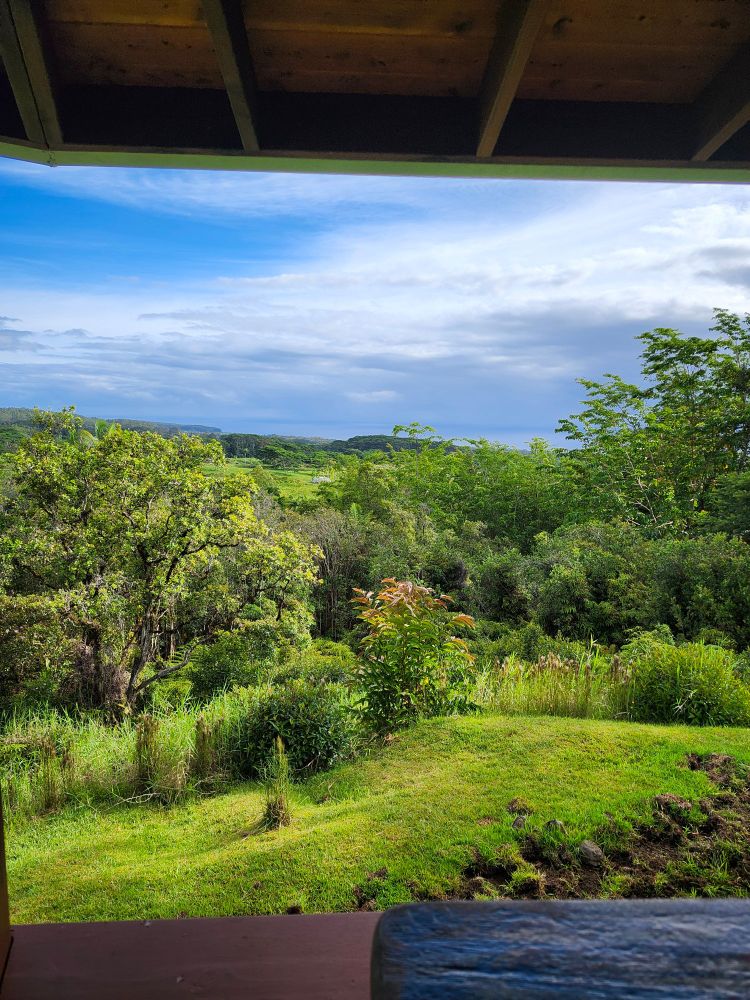 Taken in Hilo. We left the next day bc Hilo wasn't the greatest (tourist-wise).