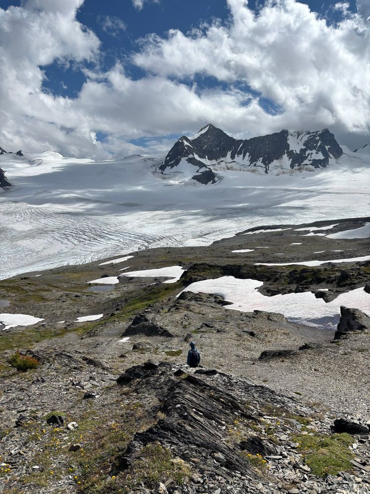 A view looking down on Conrad Glacier, with Mount Thorington in the background. 