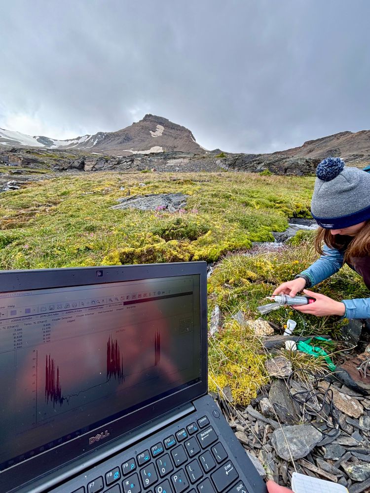 Madison downloading data from a stream temperature sensor, with a laptop in the foreground showing three summers of data