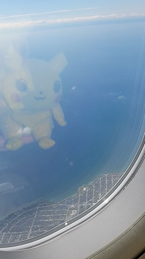 It's the pikas reflection in the plane window with the water and a bit of land below