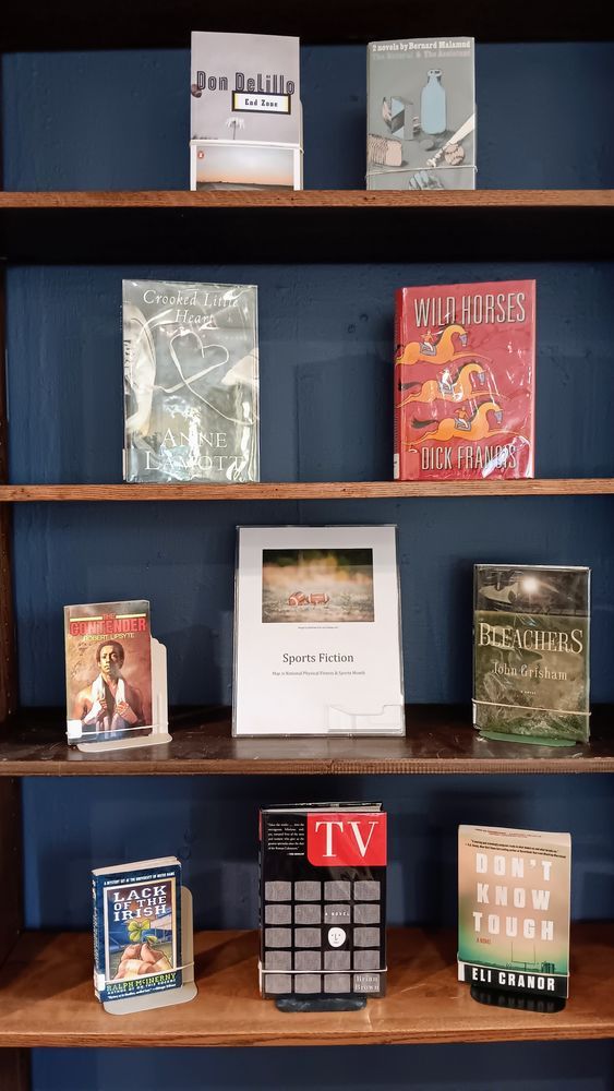 Shelf with outward-facing books: End Zone by Don DeLillo; The Natural & The Assistant by Bernard Malamud; Crooked Little Heart by Anne Lamott; Wild Horses by Dick Francis; The Contender by Robert Lipsyte; Bleachers by John Grisham; Lack of the Irish by Ralph McInerny; TV, A Novel, by Brian Brown; and Don't Know Tough by Eli Cranor