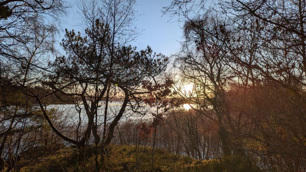 View over a lake through the trees with a rising sun in the distance. It's autumn but we had the first frost of the season so it looks chilly. Golden brown colours.