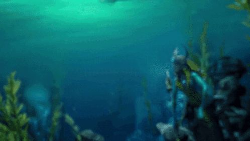 a person is swimming in the ocean surrounded by seaweed and fish