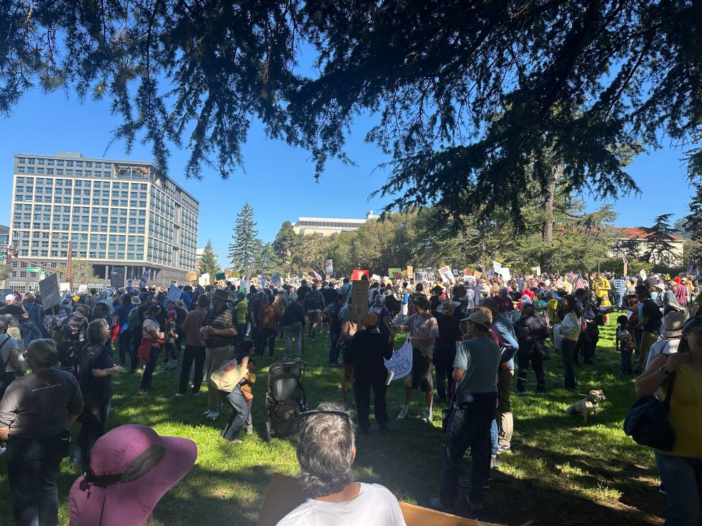 Large crowd for No Kings on lawn by UC Berkeley 