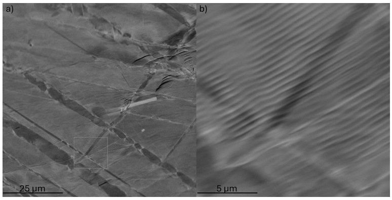 A black and white micrograph revealing deformation twins and other features from the shocked meteorite sample