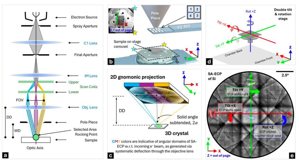 Figure 1 from the paper which shows the electron column and microscope layout required to collect and understand and electron channelling pattern
