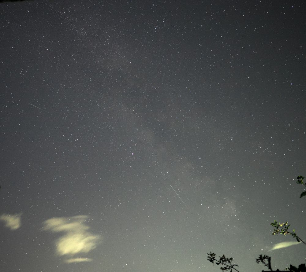 A bit of playing and I THINK it's a little clearer. There's a white flash centre left and another further down, just above the tree. If there's another clear night I want to try the hand held hi res settings which stacks several images, improving detail.