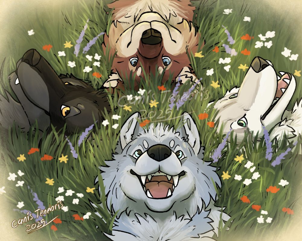 Four young werewolves lay in a grassy field full of wildflowers. Their heads are close to each other and they all look happy