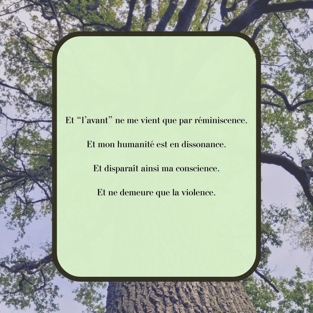 Et "l'avant" ne me vient que par réminiscence.
Et mon humanité est en dissonance.
Et disparaît ainsi ma conscience
Et ne demeure que la violence