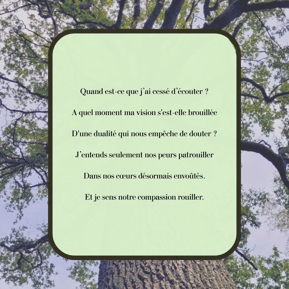 Quand est-ce que j'ai cessé d'écouter ?
A quel moment ma vision s'est-elle brouillée
D'une dualité qui nous empêche de douter 2
J'entends seulement nos peurs patrouiller
Dans nos cœurs désormais envoûtés.
Et je sens notre compassion rouiller.