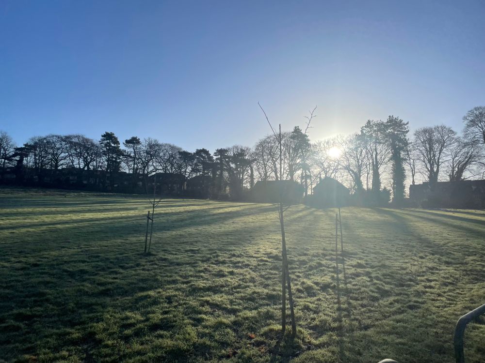 A grassy park rising uphill to a line of silhouetted trees and houses, with the sun peeking through and a clear blue sky above. 