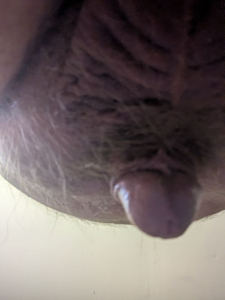 A close-up of a chubby white person's small, soft cock from underneath 