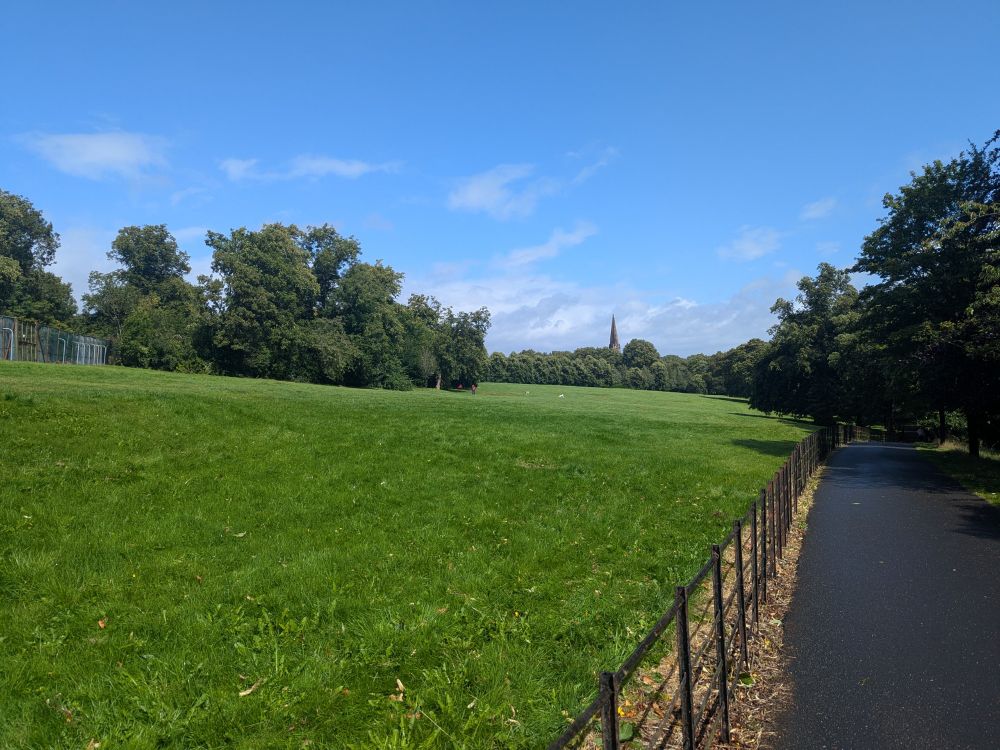 A picture of one of the fields in queens park with bright green grass and a clear sky