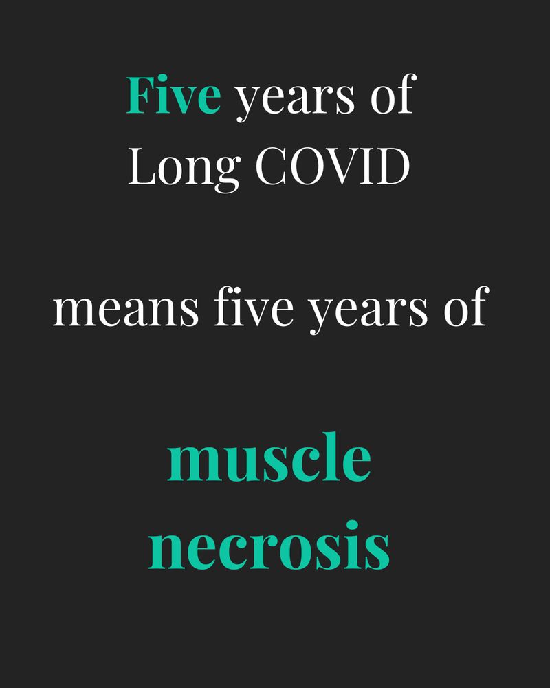 Five years of Long COVID
means five years of
muscle necrosis