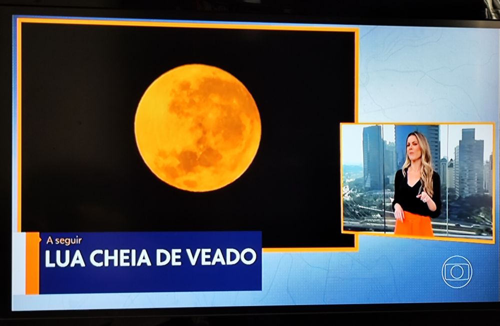 Foto da transmissão  do SP1

Imagem de grande lua cheia alaranjada

LUA CHEIA DE VEADO


ao lado direito a jornalista de clima se prepara para falar do tema