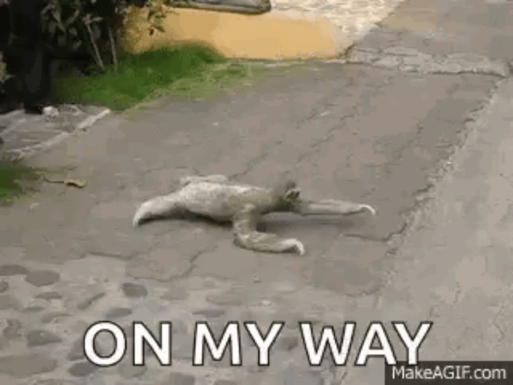 a sloth is laying on the ground on the sidewalk with the words `` on my way '' .