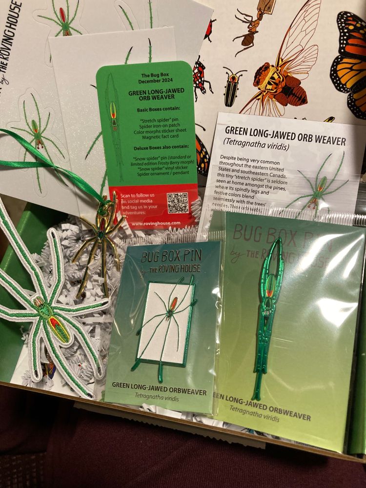 Photo shows a the opened box with two pins, an iron on patch, an ornament, and stickers of a slender green and red spider, the green long-jawed orbweaver. 
