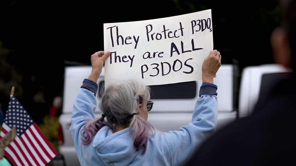 Olympia Washington, person holding protest sign, they protect p3dos they are all p3dos, with pedo spelled with the number 3 instead of the letter e