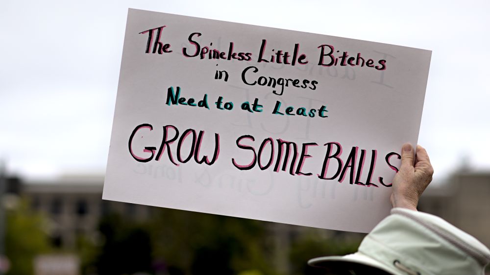 Olympia Washington, protest sign, The spineless little bitches in Congress need to at least grow some balls