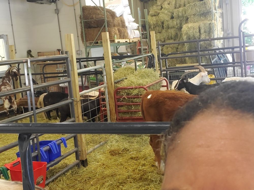 This truly is meat market where see for a fact; your meat is indeed fresh!