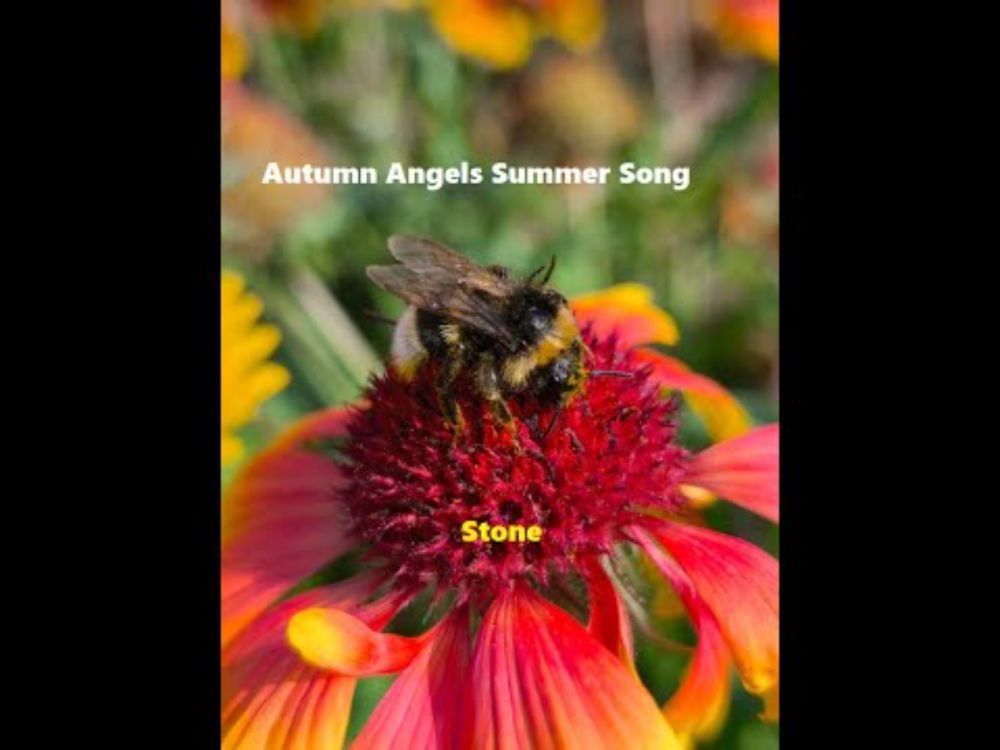 Stone -Autumn Angels Summer Song