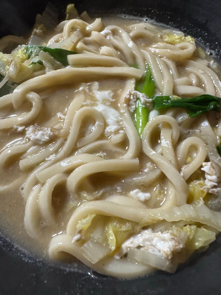 ネギしか入っていないように見えるうどん